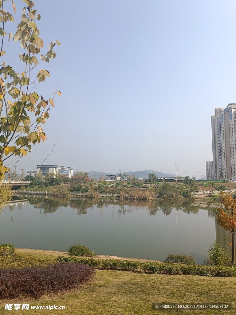 湖畔城市风光美景