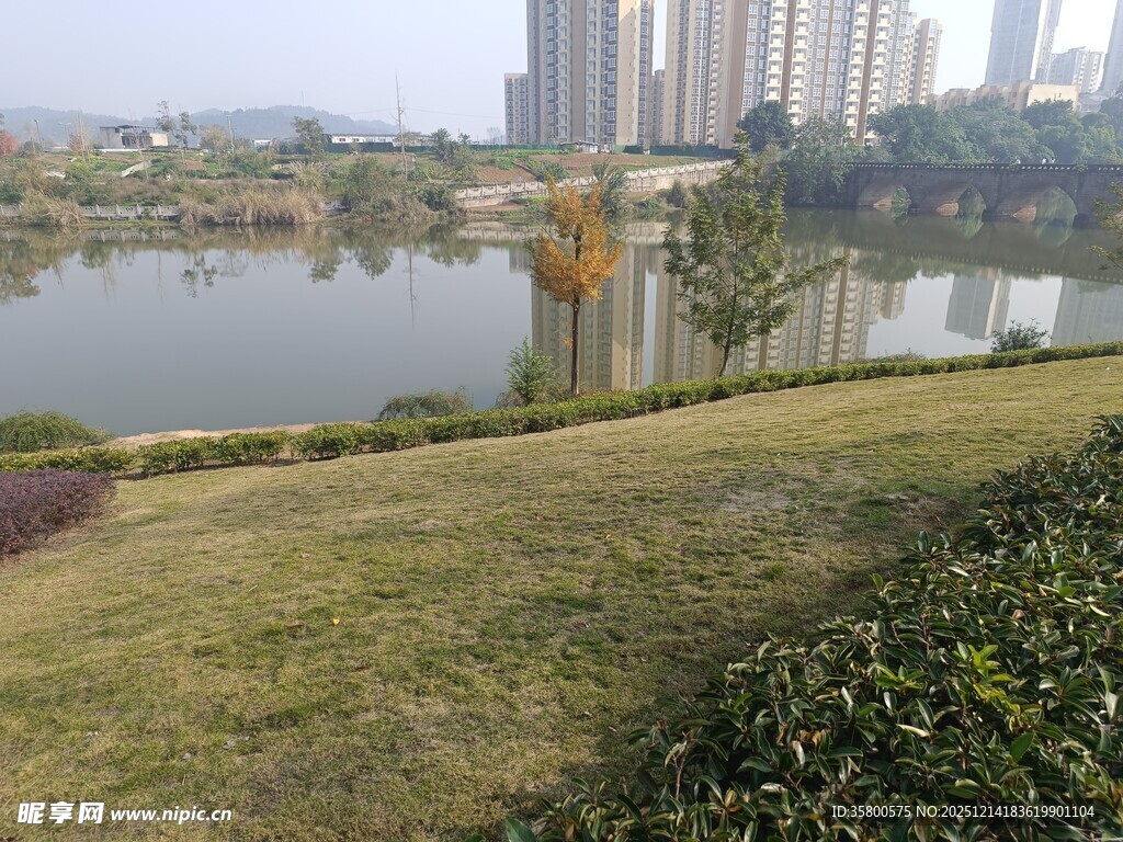 城市湖畔风景