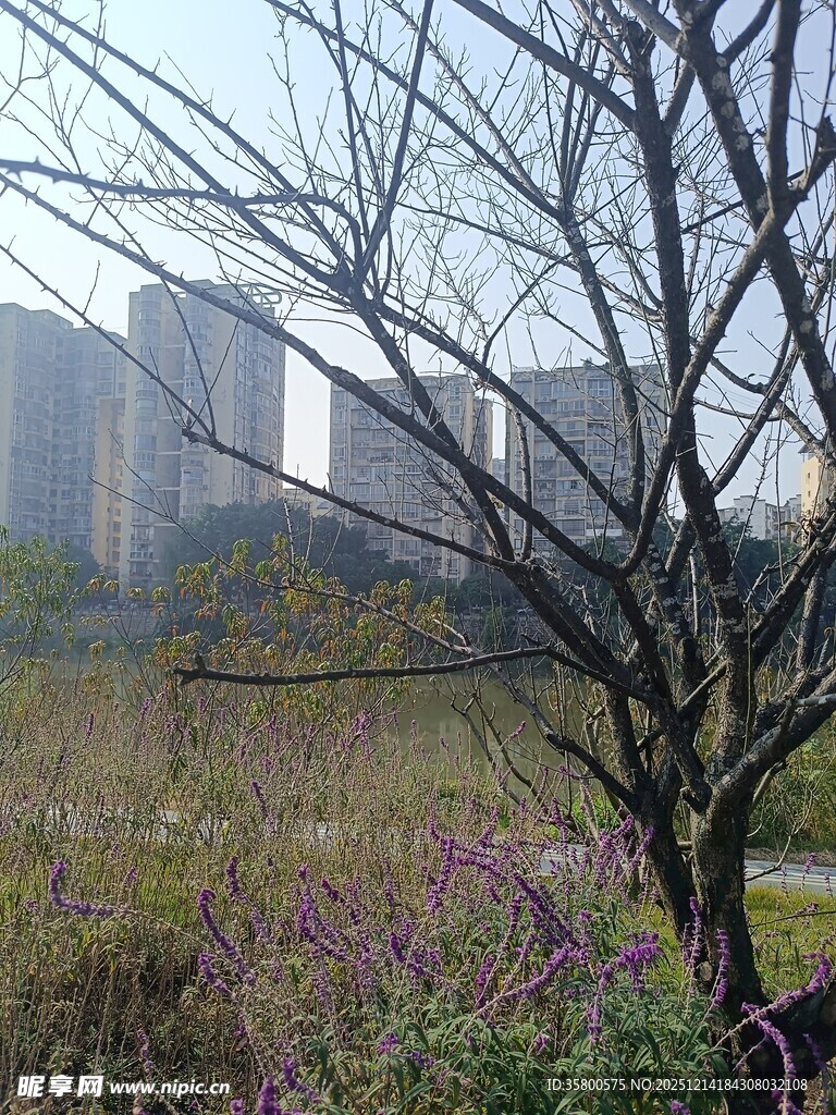 城市边的自然野景