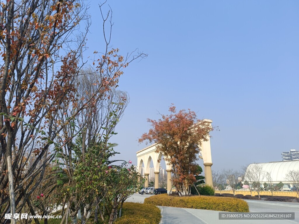 秋日街道旁的树木与建筑