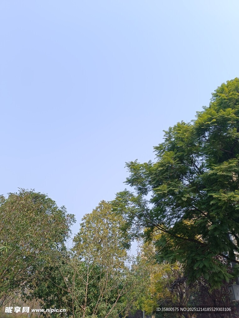 蓝天绿树自然风景图