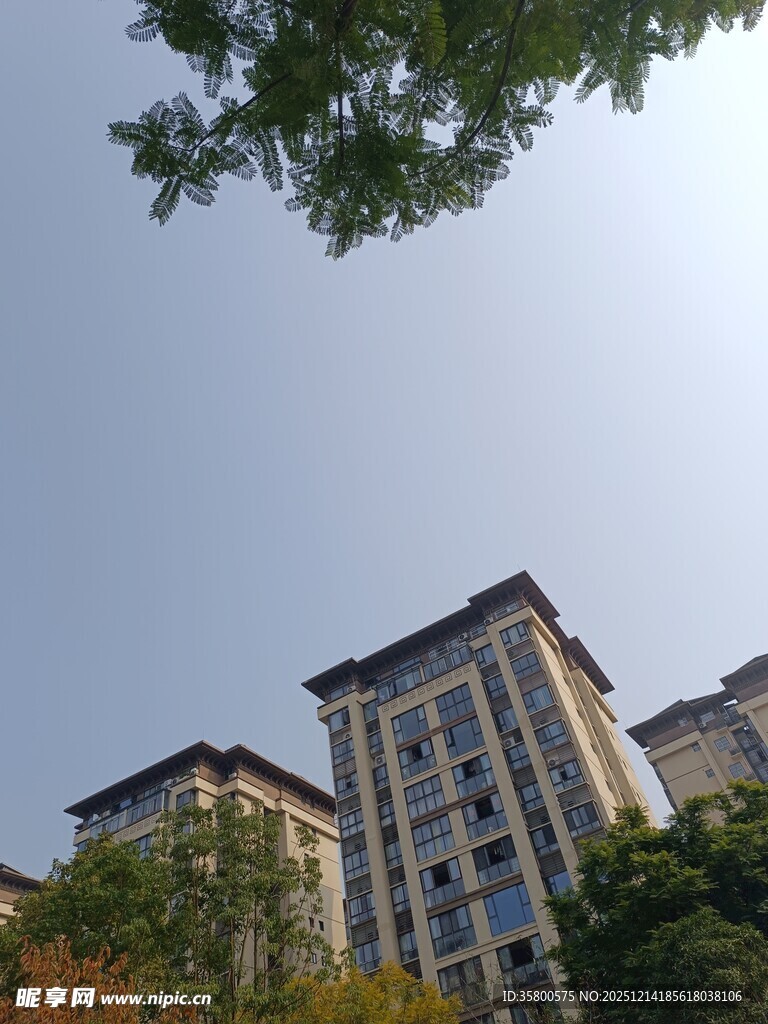 高层住宅与绿树相映