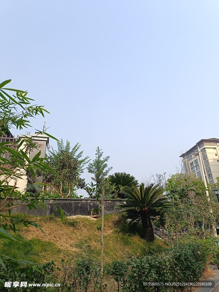 城郊绿植环绕的住宅景观