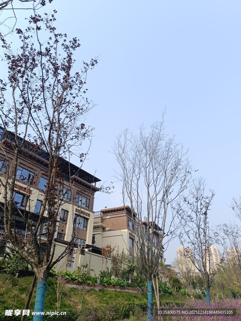 山坡上的古朴建筑