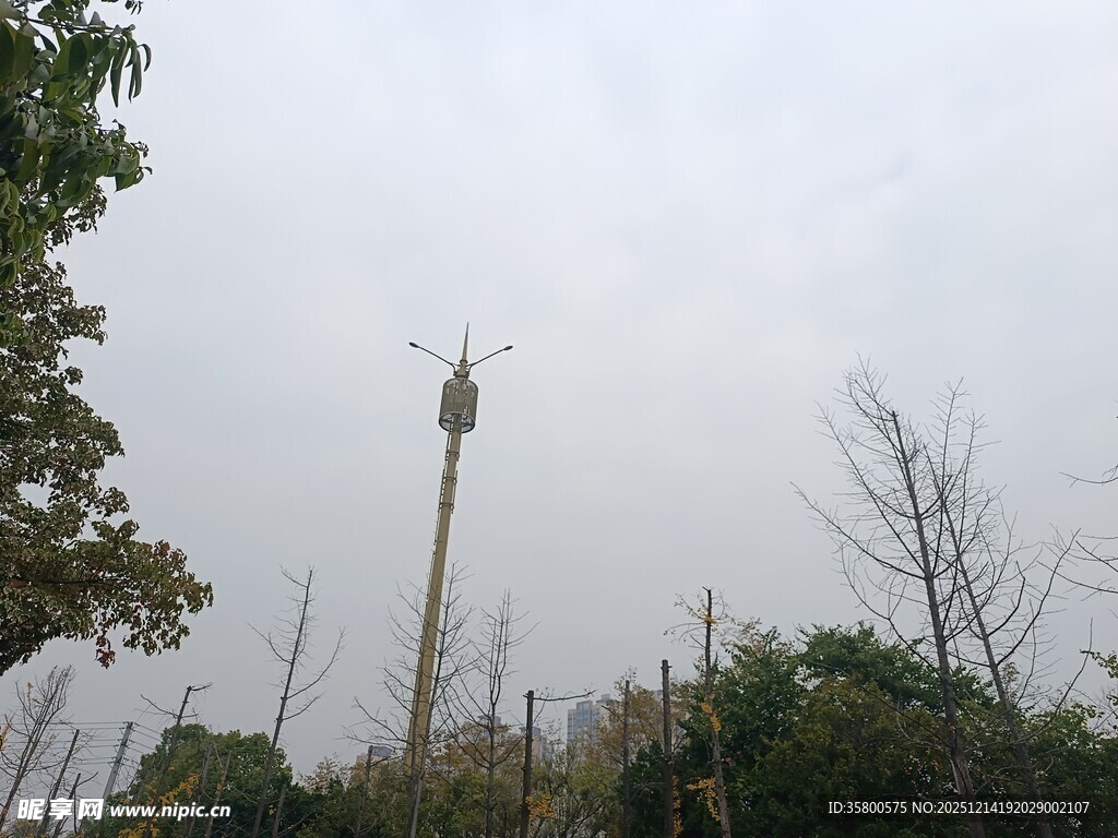 户外高塔与周边植被景观