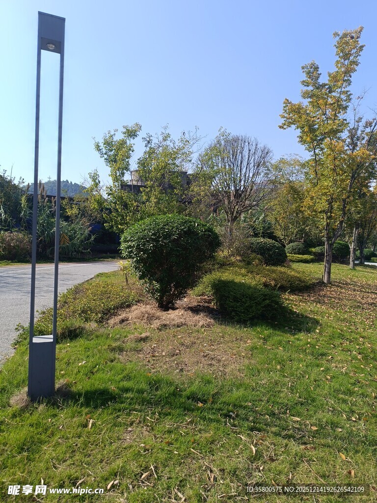 户外绿化景观一角