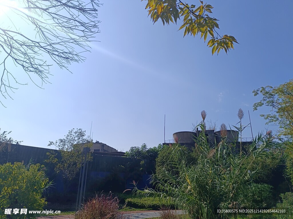 户外绿意盎然的自然景致