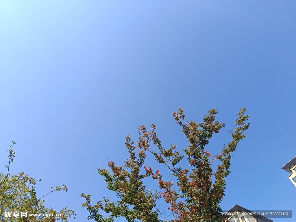 蓝天绿树旁的房屋一角