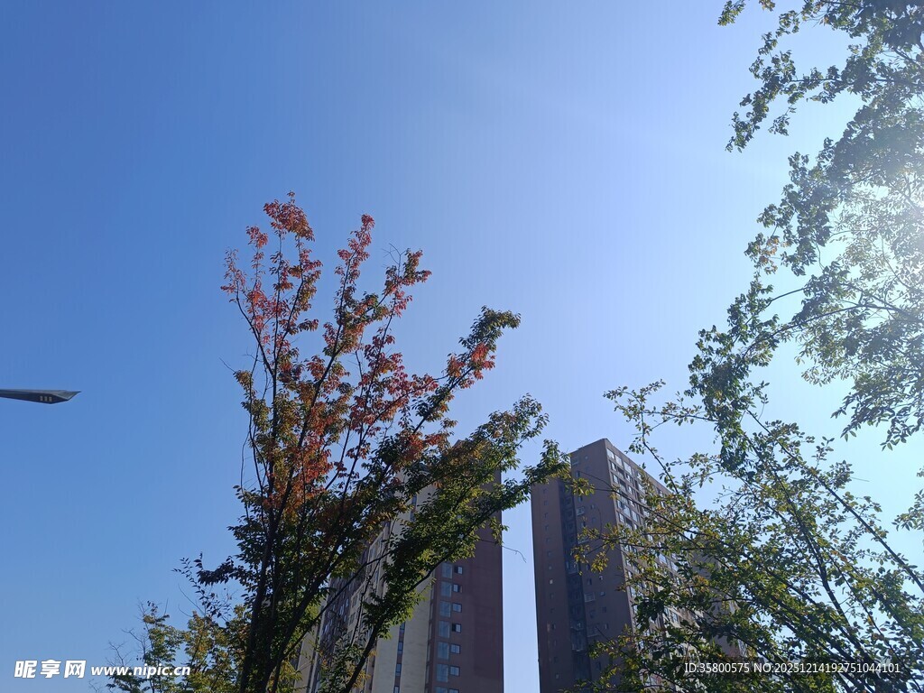 蓝天绿树旁的现代建筑