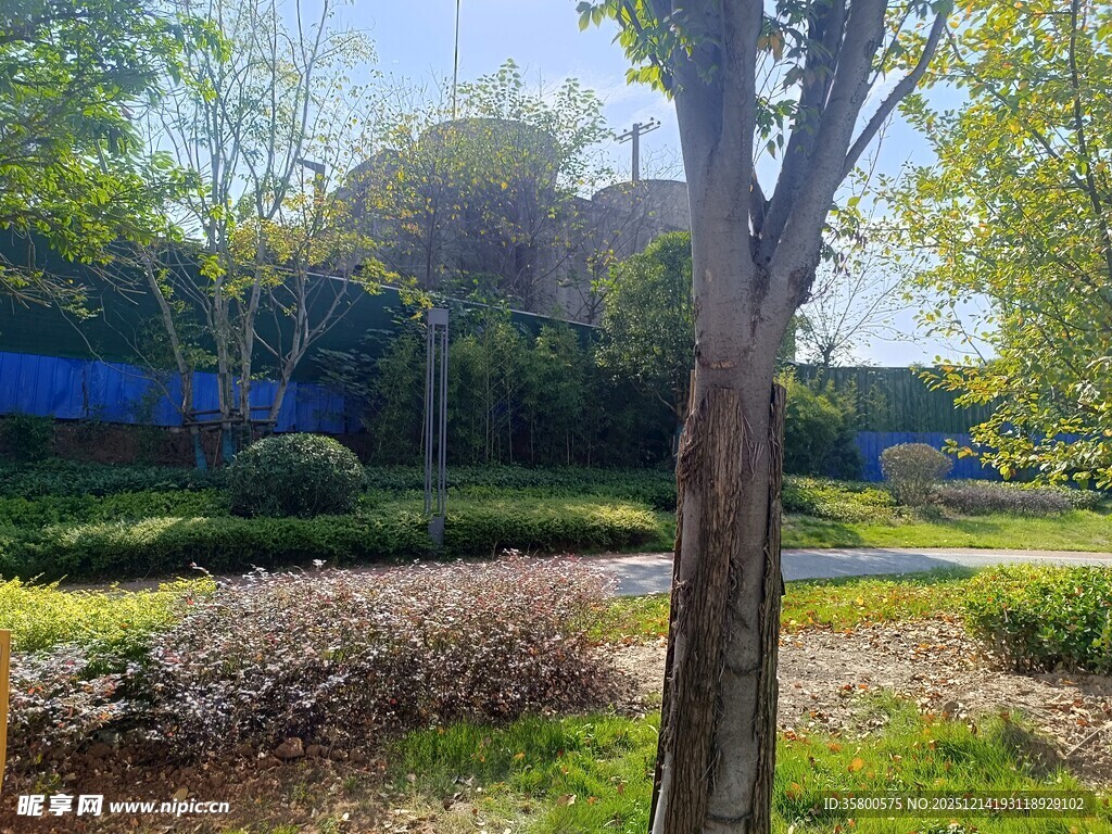 户外园林景观一角