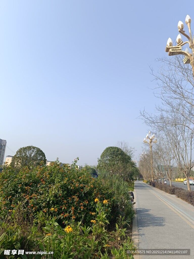 户外绿植环绕的幽静小路