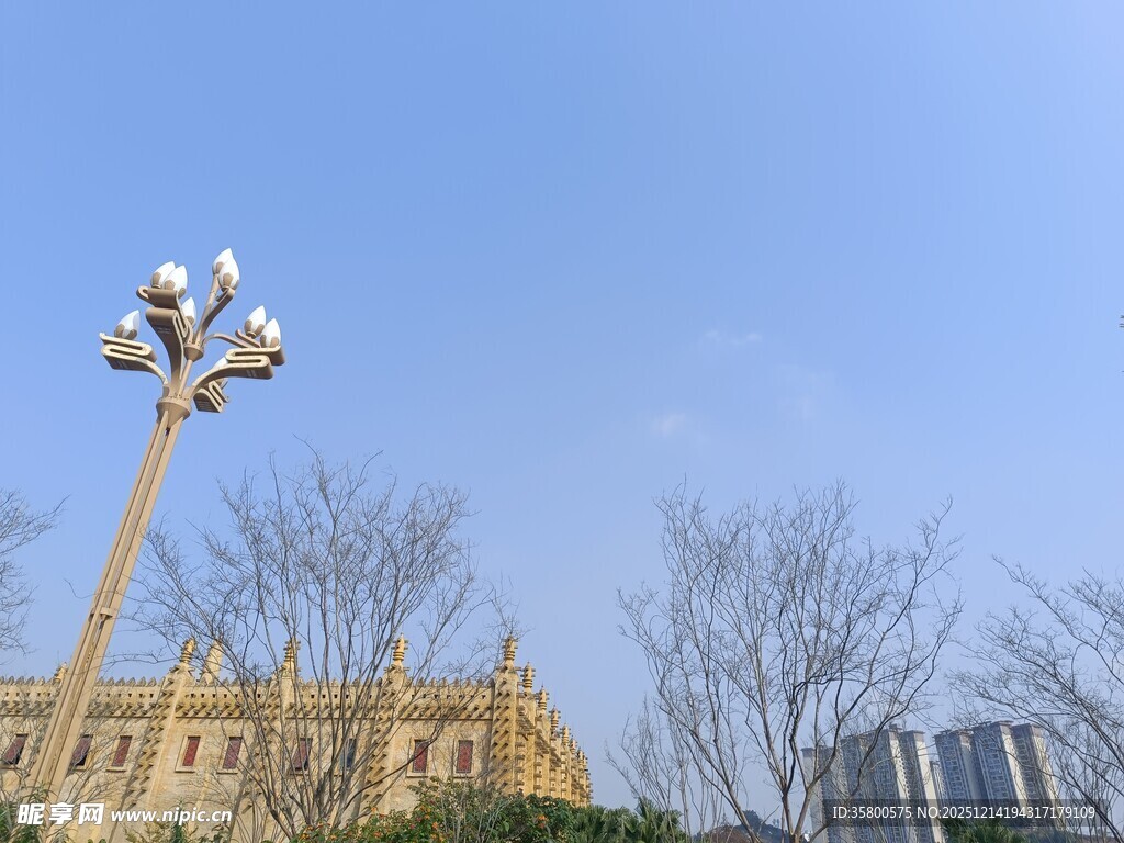 城市路灯与建筑景观