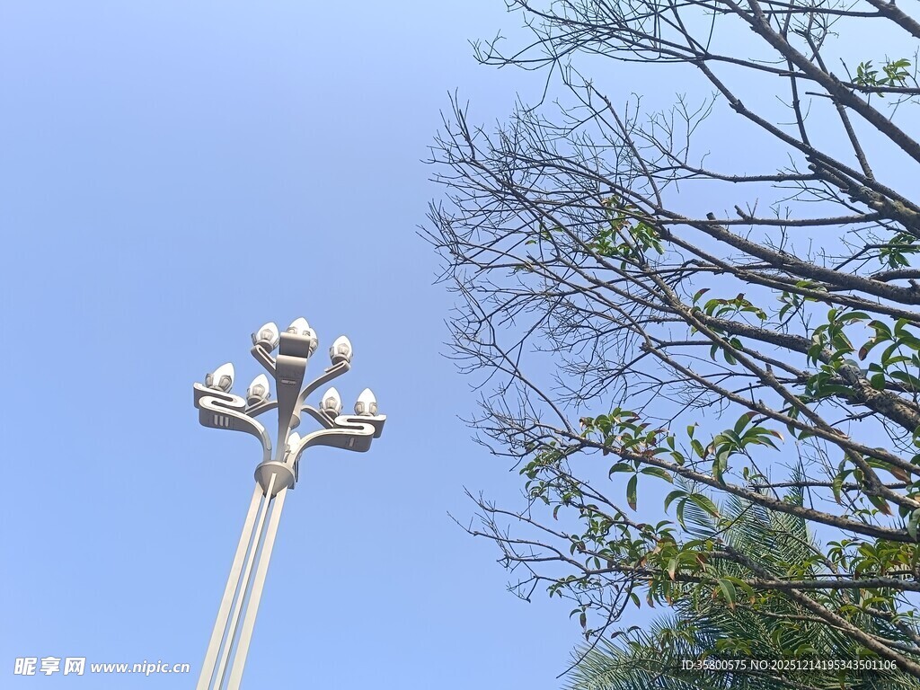 高耸路灯映衬蓝天绿树