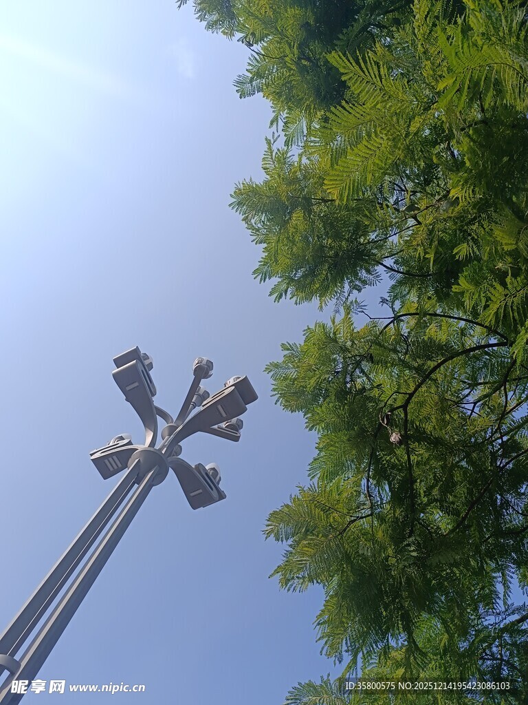 高耸灯杆与周边绿树