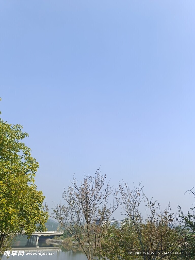 户外蓝天绿树风景图