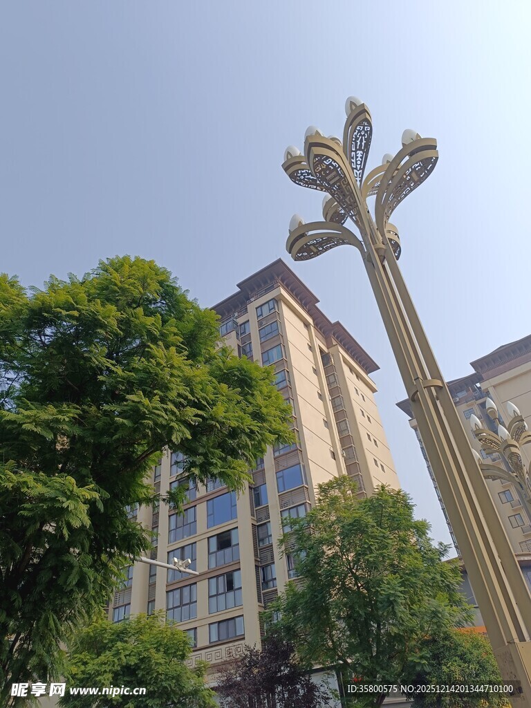 城市路灯与周边建筑景观