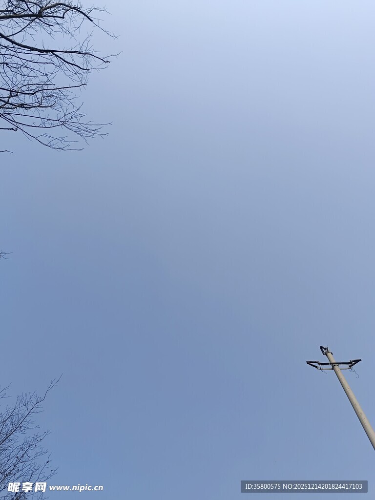 蓝天枯枝间的十字架