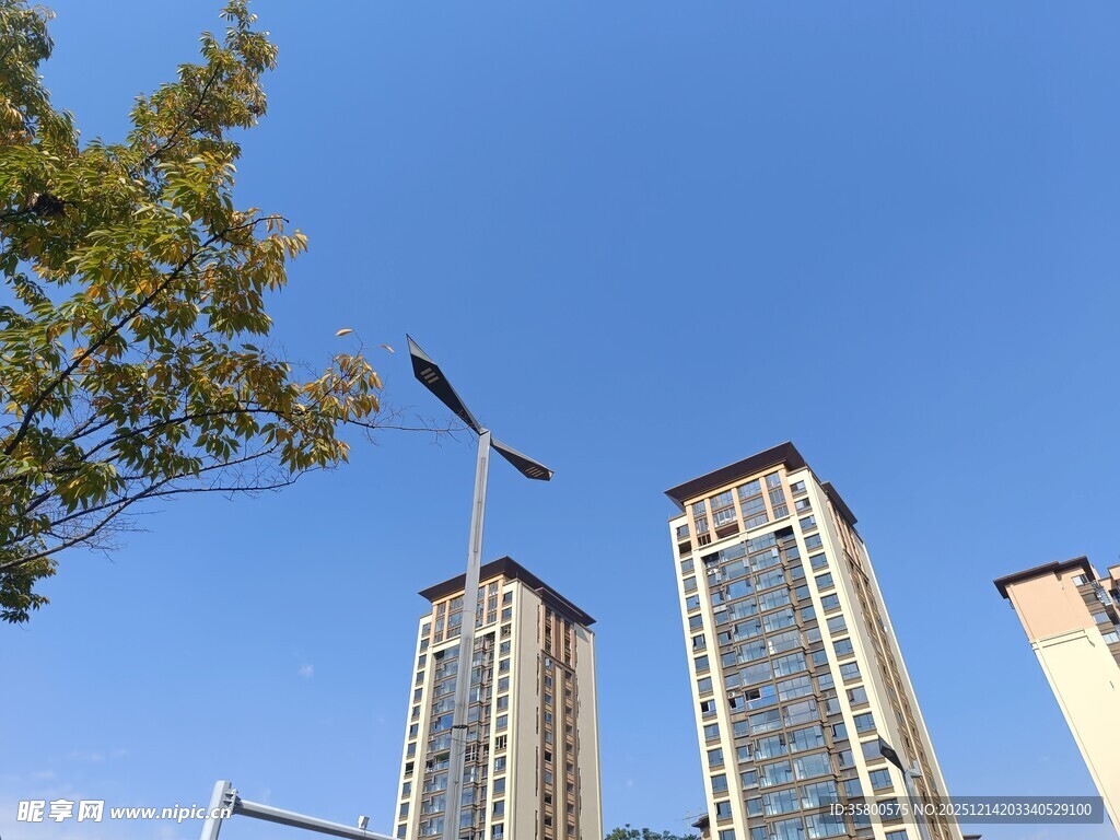 城市高楼与蓝天绿树景观