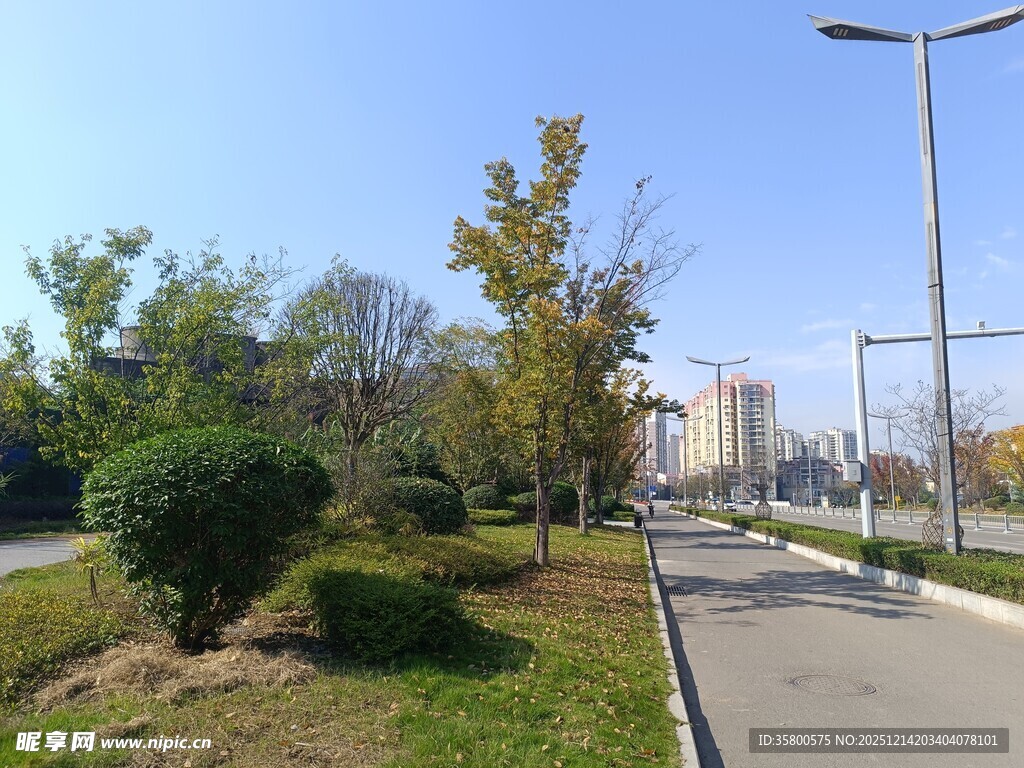 城市中的宁静绿化小径