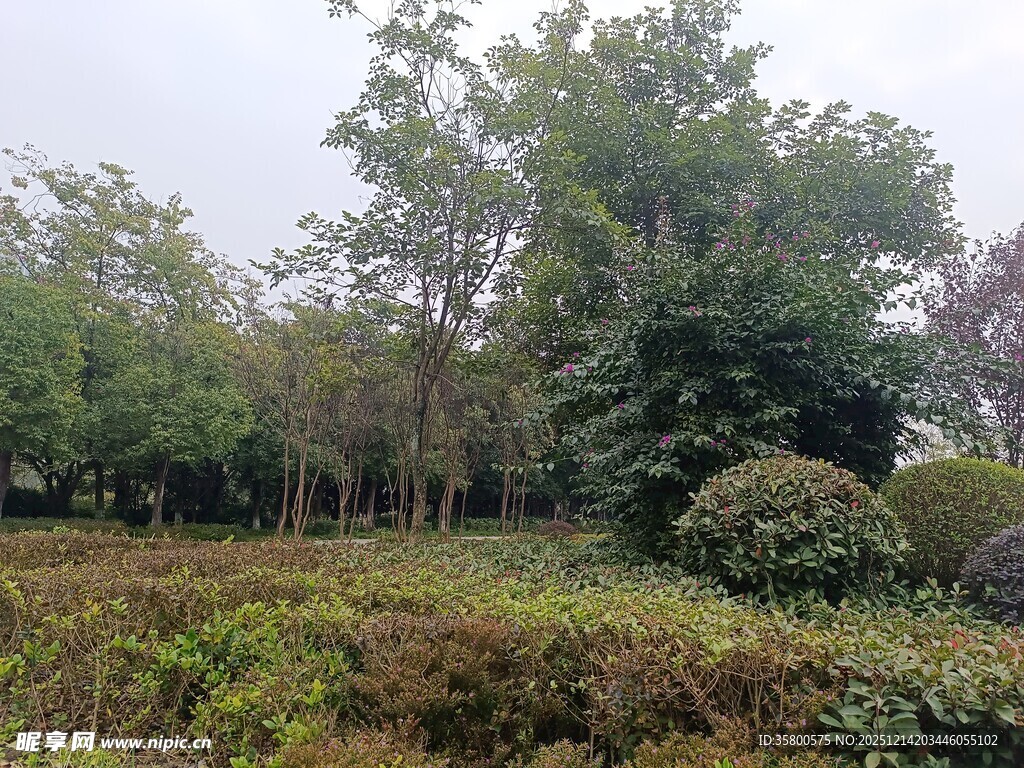 户外绿意盎然的植物景观