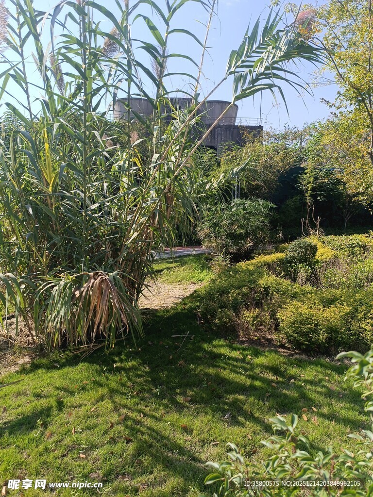 户外绿植环绕的静谧小径