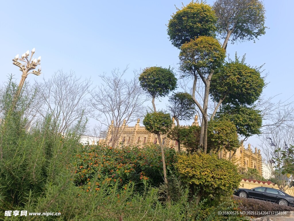 造型独特的绿植景观
