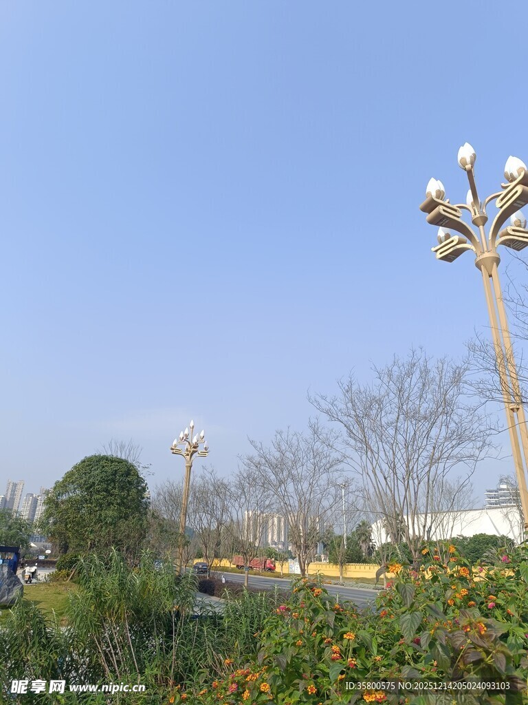 户外景观路灯与绿植花卉