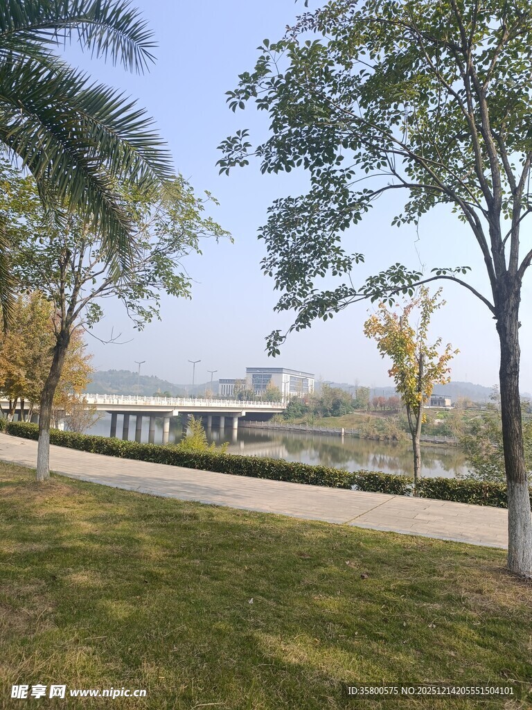 公园中的宁静林荫小道