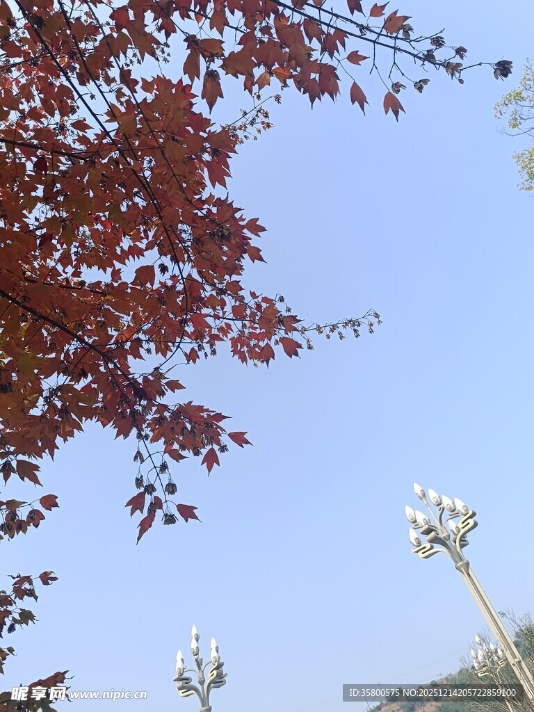 红叶蓝天映衬的通信设施