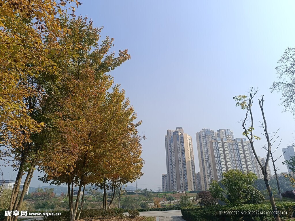 秋日城市公园景致