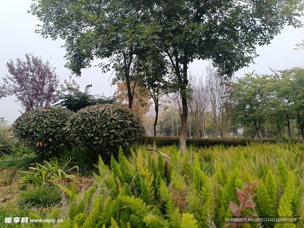 绿意盎然的户外园林景观