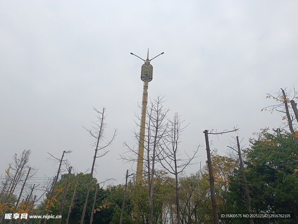 高耸风车立于树木间