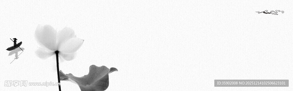 单枝白花banner背景