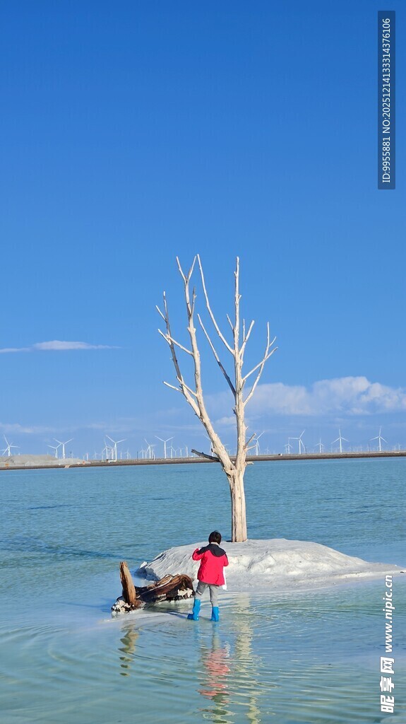 青海湖茶卡沙漠孤树旁的人与骆驼