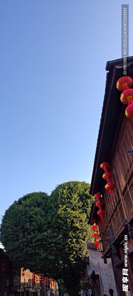 福建福州闽南古巷中式建筑红灯笼