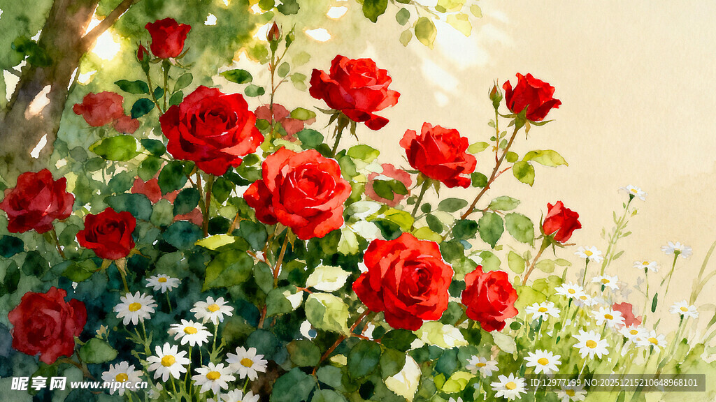 阳光下盛放的鲜艳红玫瑰