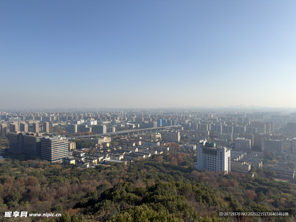 俯瞰城市景观与葱郁植被