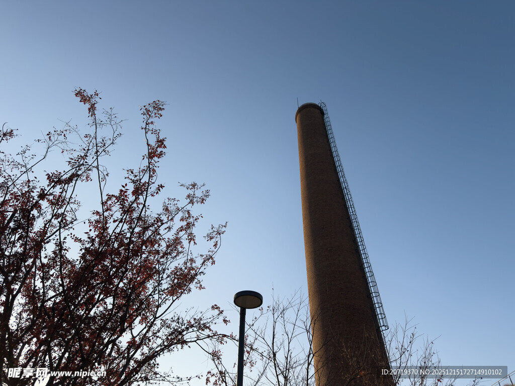 高耸烟囱与枝头景致