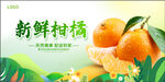 橘子海报