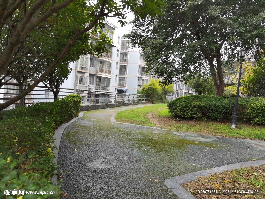 小区内幽静的绿化小径