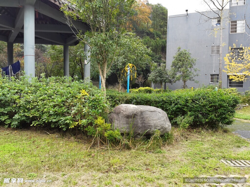 庭院绿植与石景景观
