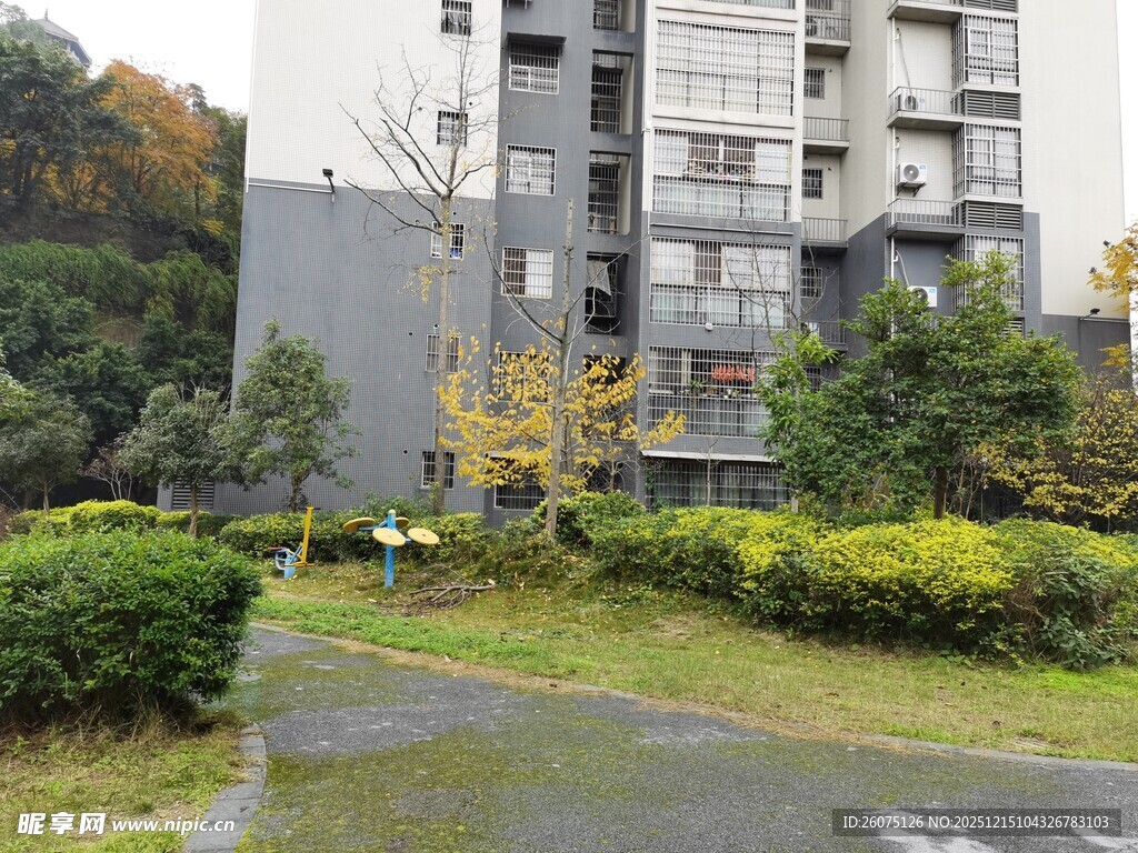 小区内的绿化景观道路