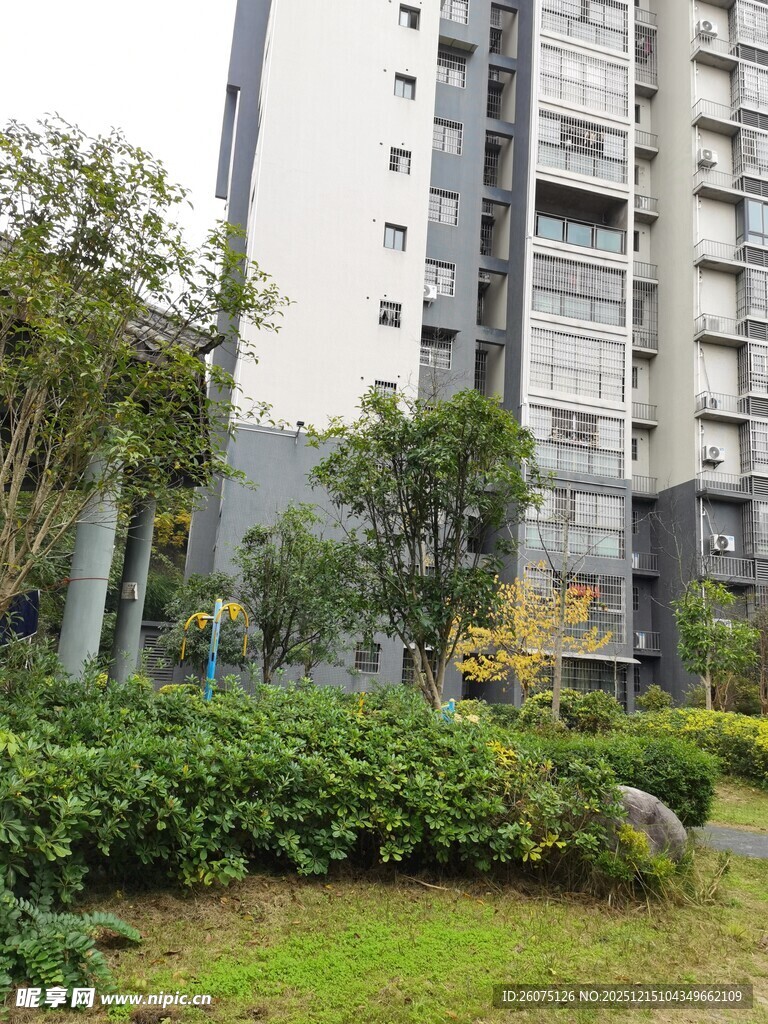 现代小区绿植环绕的建筑