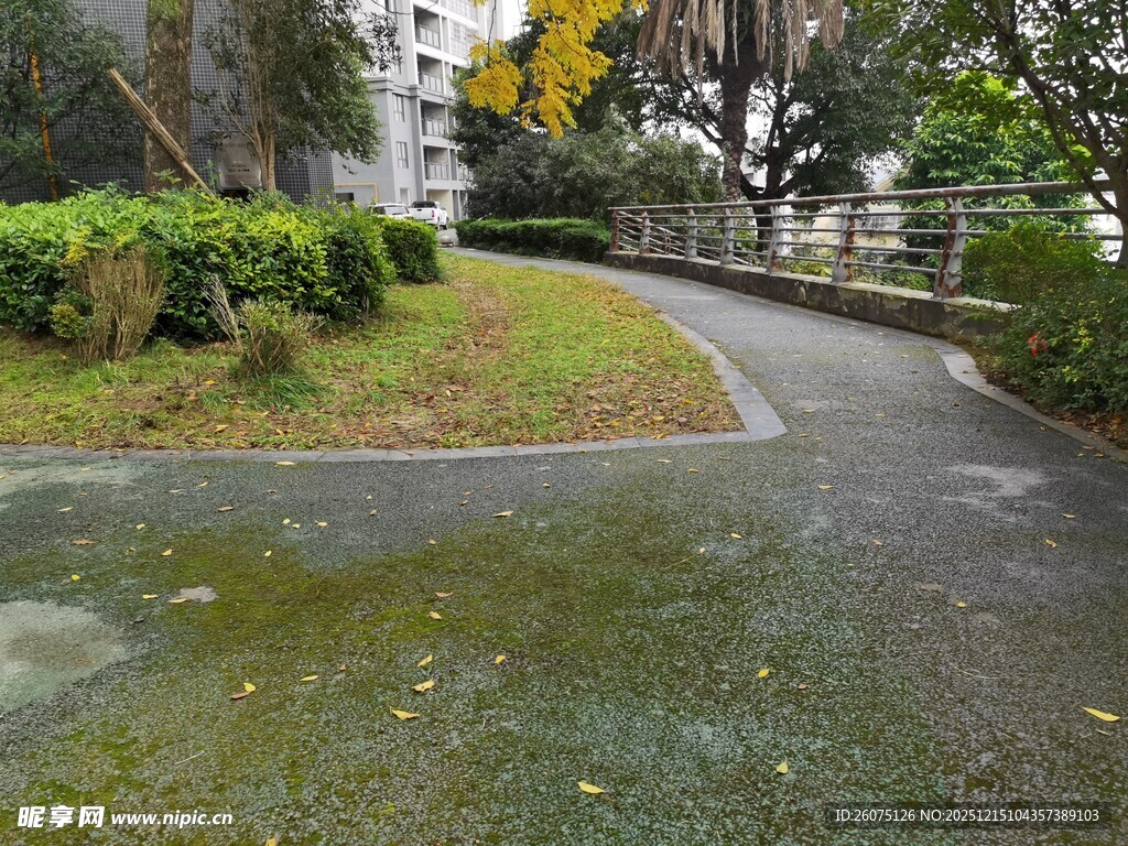 雨后湿润的小区蜿蜒小路
