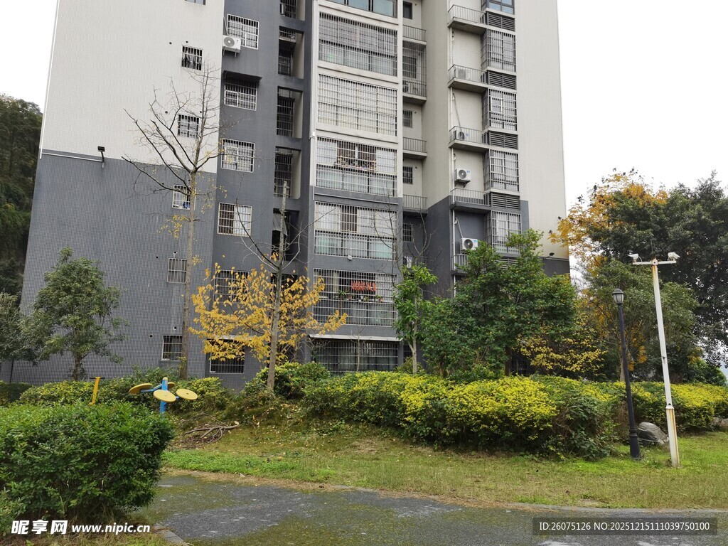 现代小区住宅楼周边景致