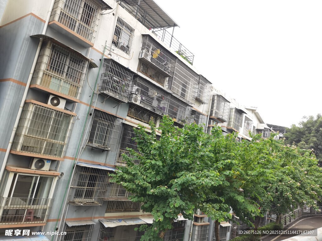 老旧居民楼旁的绿树景观