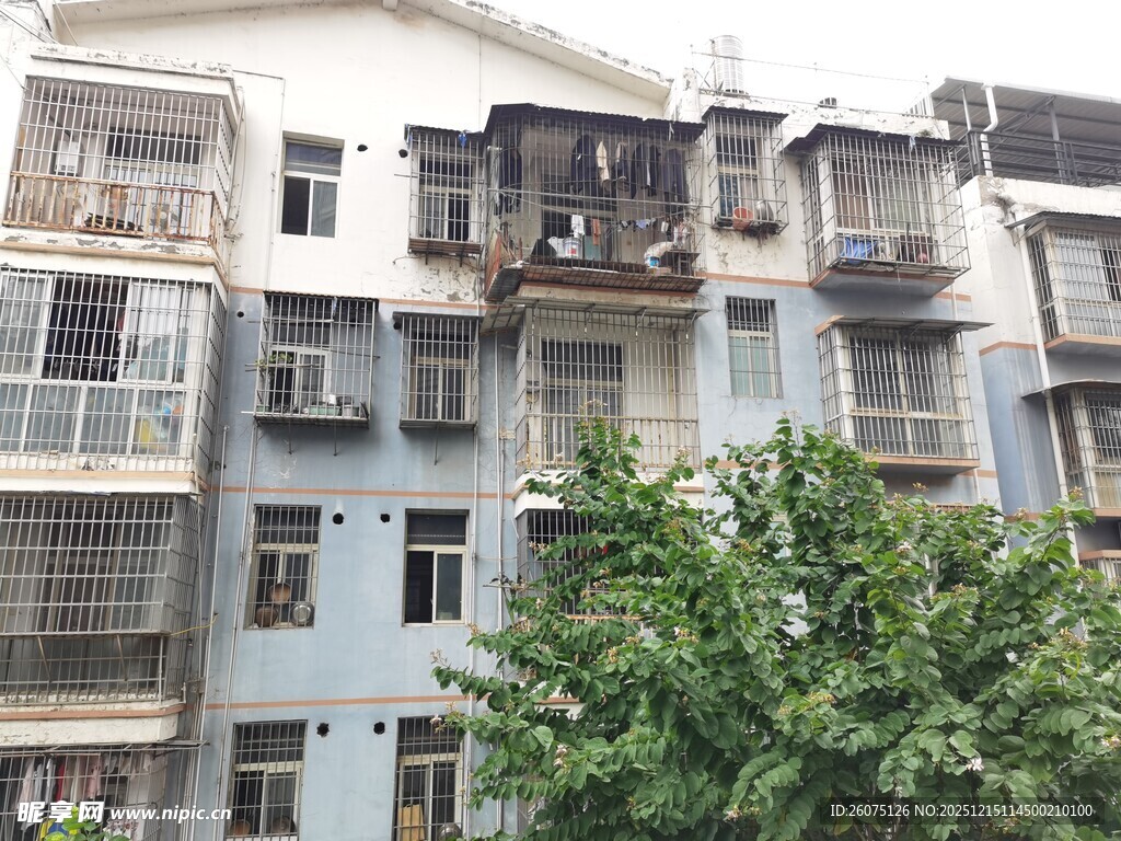 老旧居民楼与繁茂绿树
