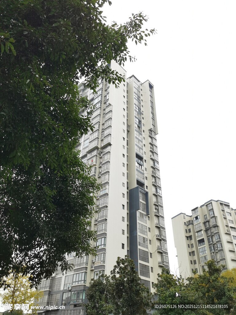 城市高楼与绿树景观