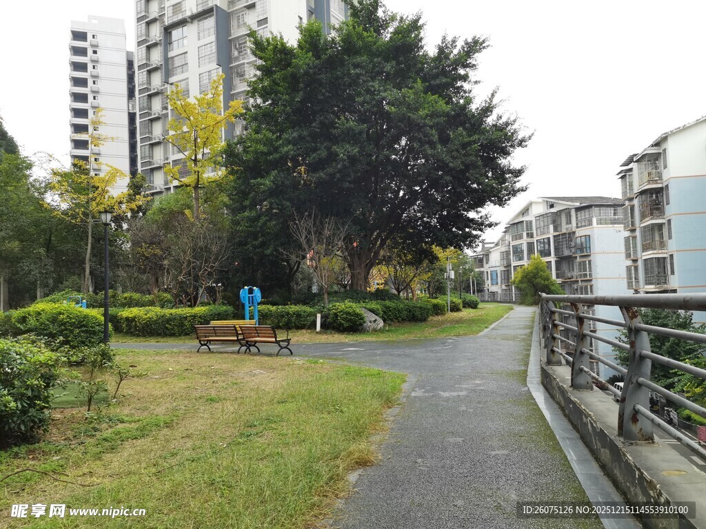 小区内的静谧休闲步道