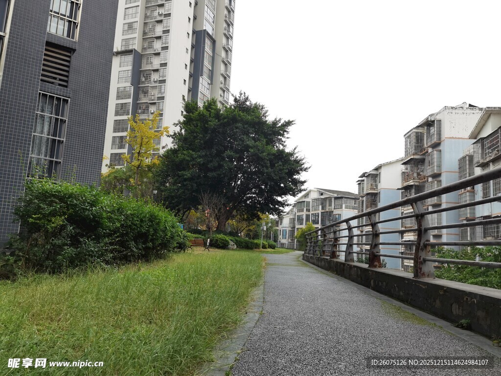 城市中幽静的小路与绿植